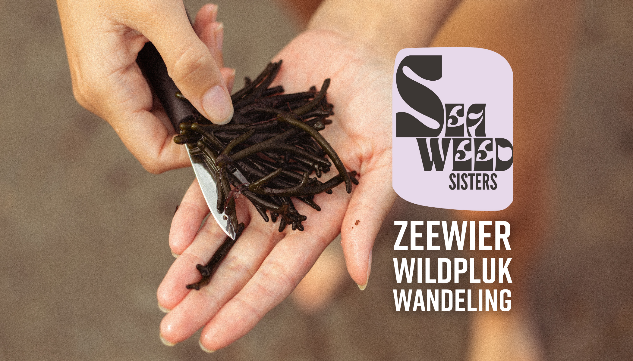 SEAWEED_SISTERS_Visitekaartje_VS_1.png